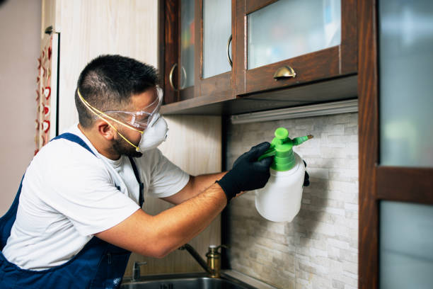 Pest Control Cost in El Macero, CA