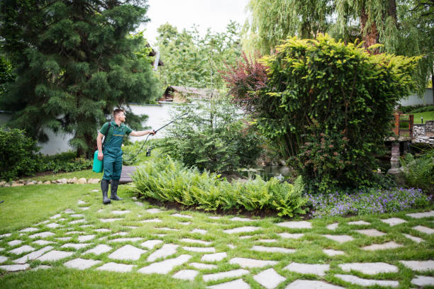 Best Cockroach Control Services  in El Macero, CA