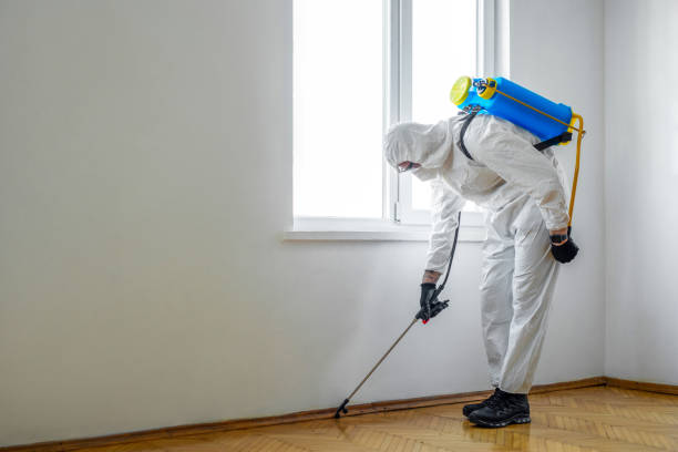 Best Bed Bug Extermination  in El Macero, CA
