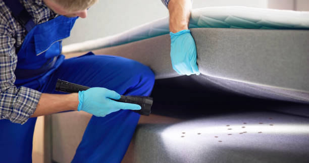 Best Ant Control Services  in El Macero, CA