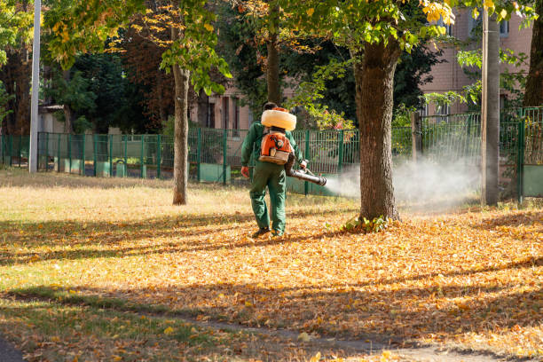 Wildlife Control Services in El Macero, CA