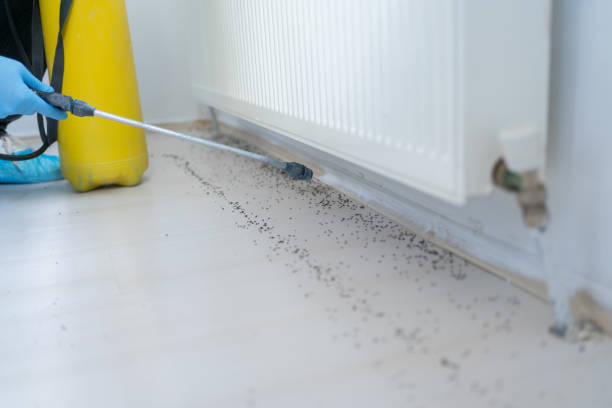 Best Commercial Pest Control Services  in El Macero, CA