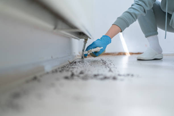 Pest Control for Restaurants in El Macero, CA